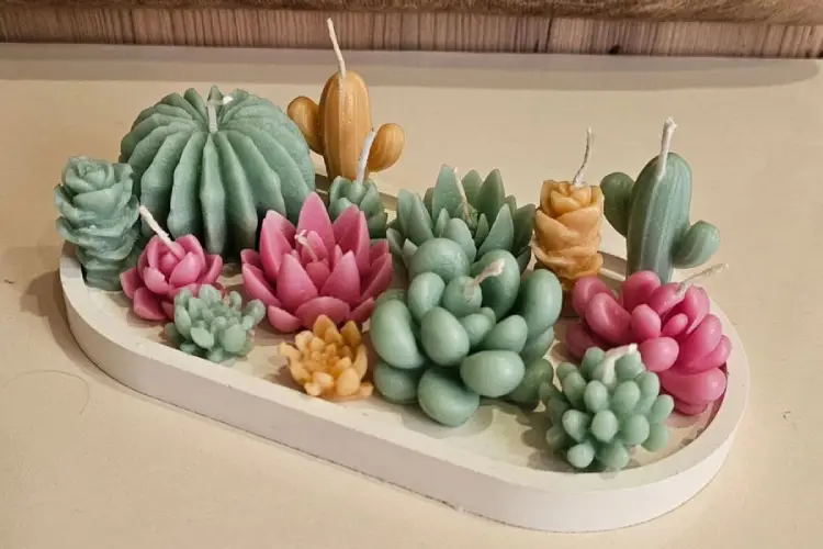 Colección de velas con formas de suculentas y cactus